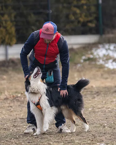 EVEREST szczyt porozumienia - Szkolenie Psów | Behawiorysta